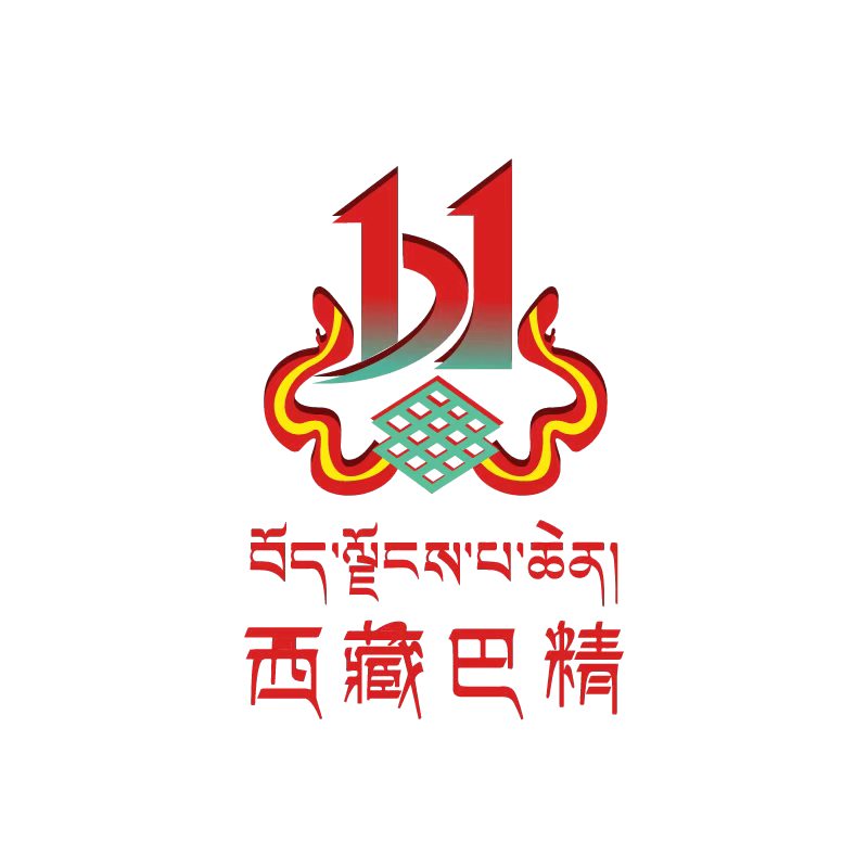 西藏巴精建设工程有限公司